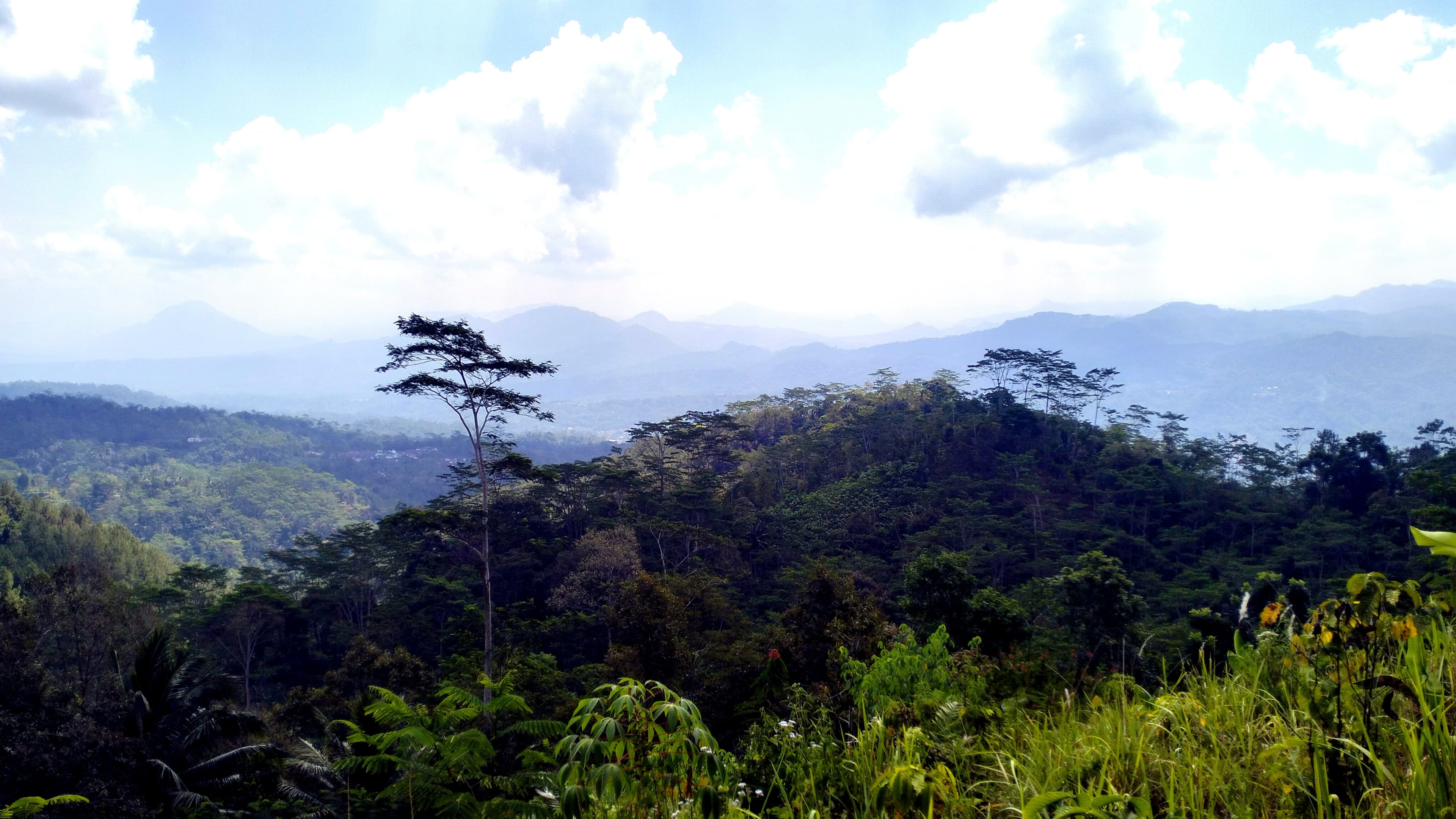 Panorama desa dari ketinggian