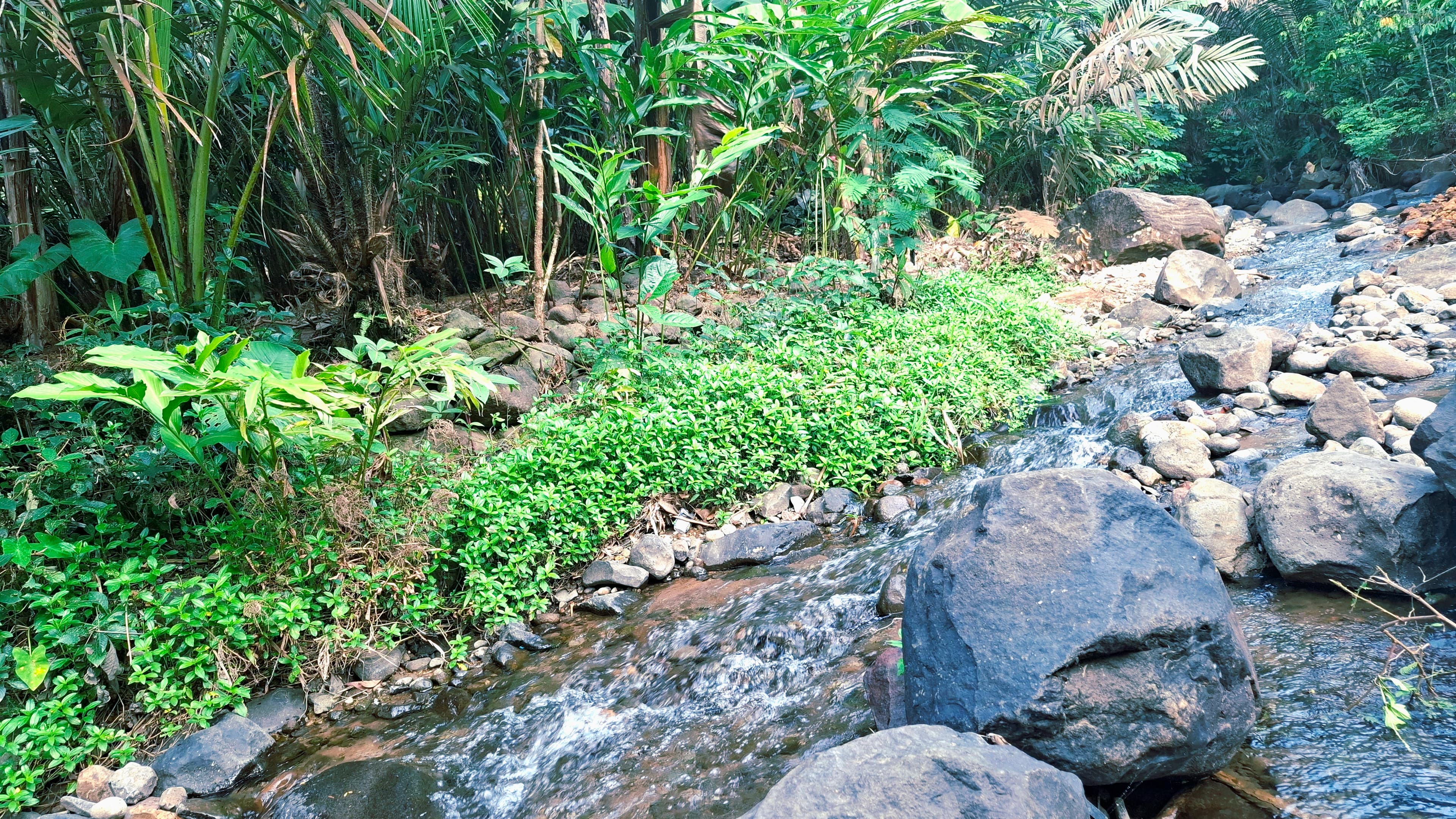 Kegiatan masyarakat lokal