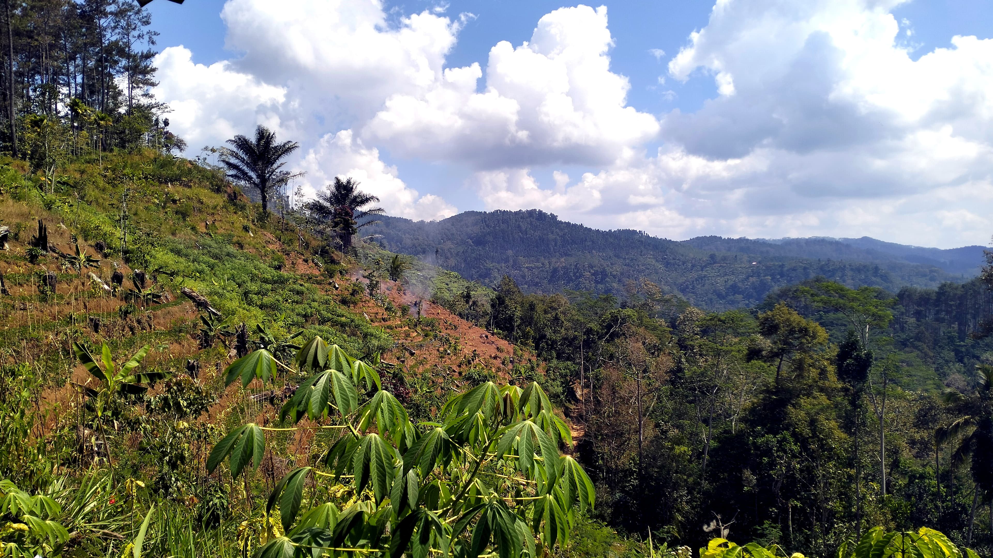 Potensi wisata alam