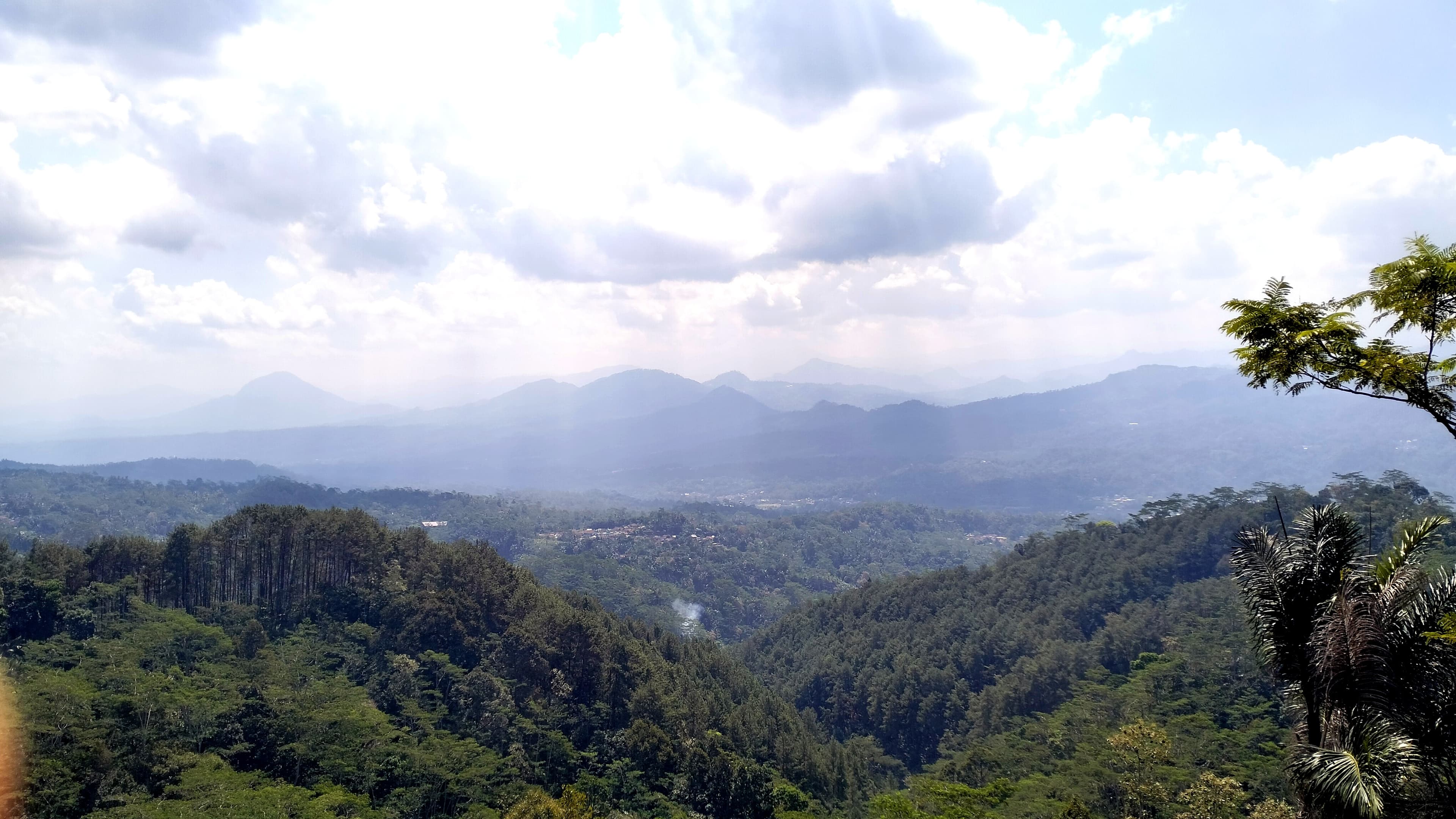 Kesenian budaya tari
